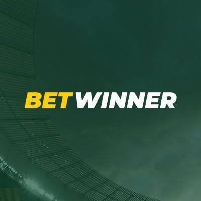 Comprehensive Guide to BetWinner Support 28