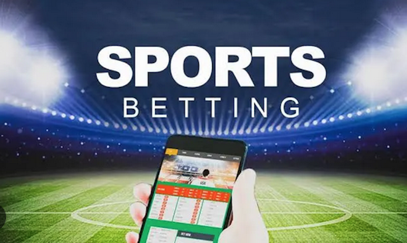 Ultimate Guide to Betwinner Your Premier Betting Destination