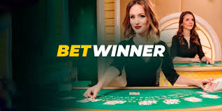 Understanding Betwinner Player Bets Strategies and Insights
